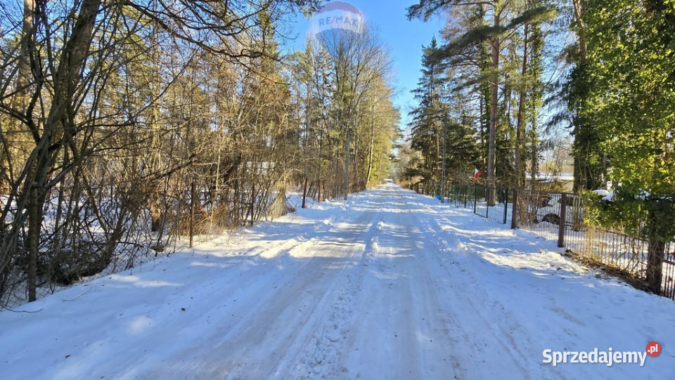 Działka zabudowana Zalesie Górne Kwiat Paproci