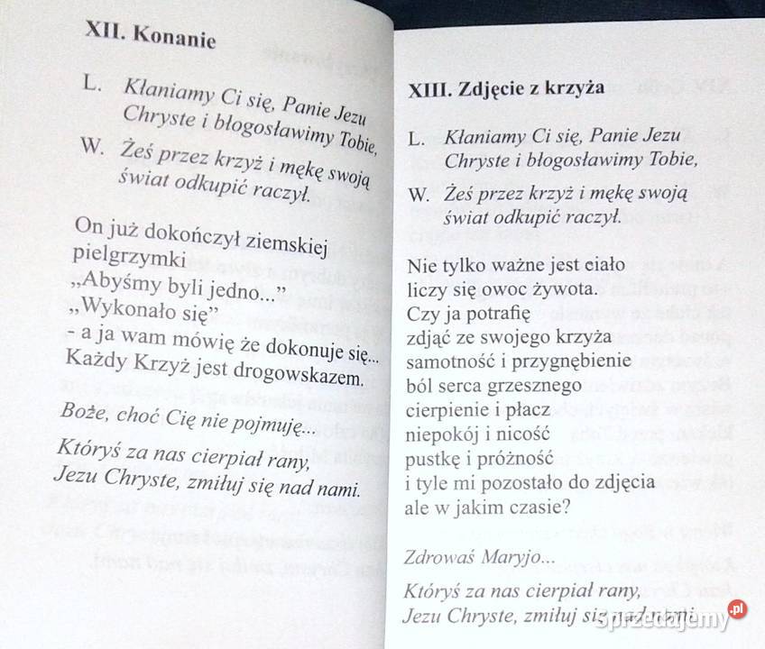 Z Golgoty widać najlepiej człowieka ks Janusz Chełm