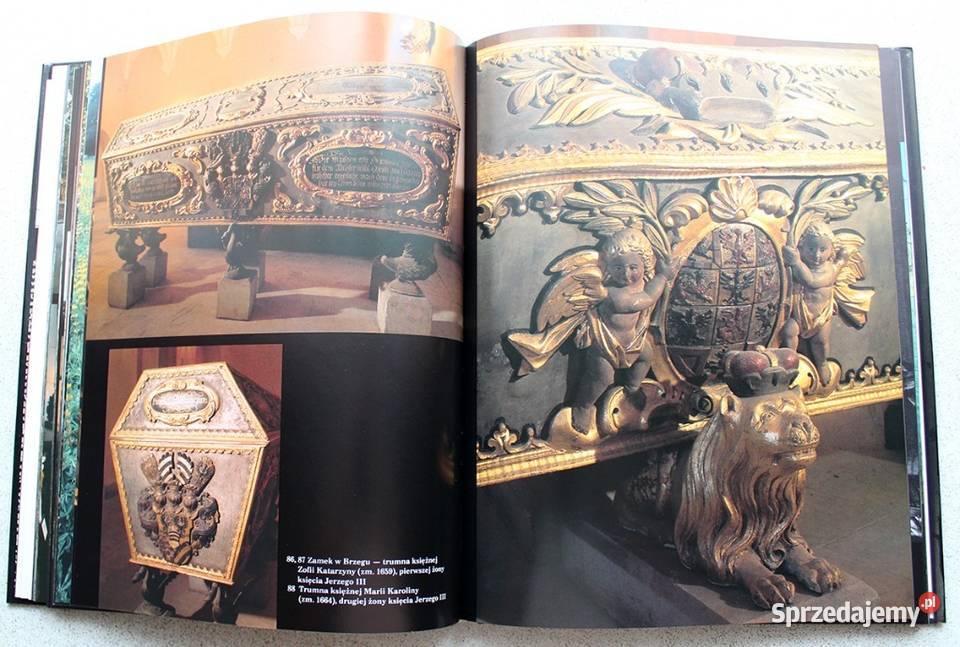 Nekropolie Adam Bujak Kruszwica