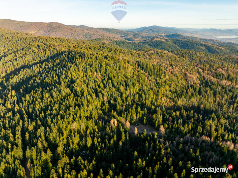 Grunt Ostrowsko sprzedam