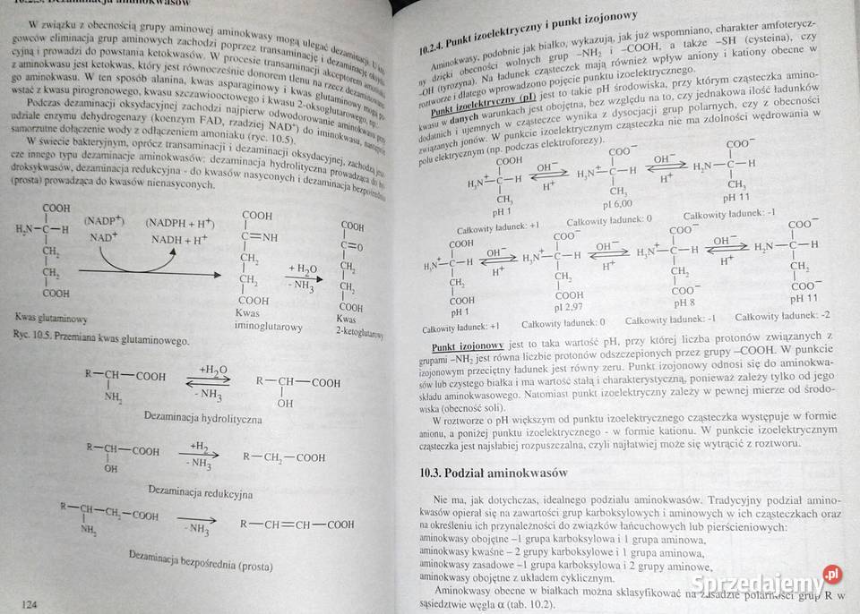 Chemia repetytorium kandydatów Tadeusz Gałamon