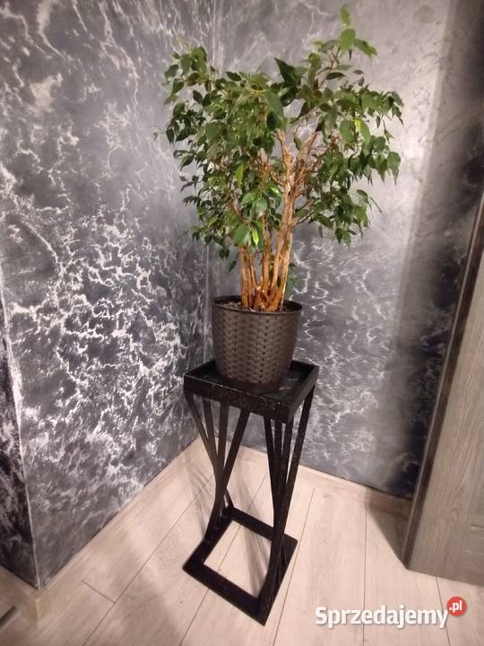 Kwietnik stojak postawa donicy Czarnozłota