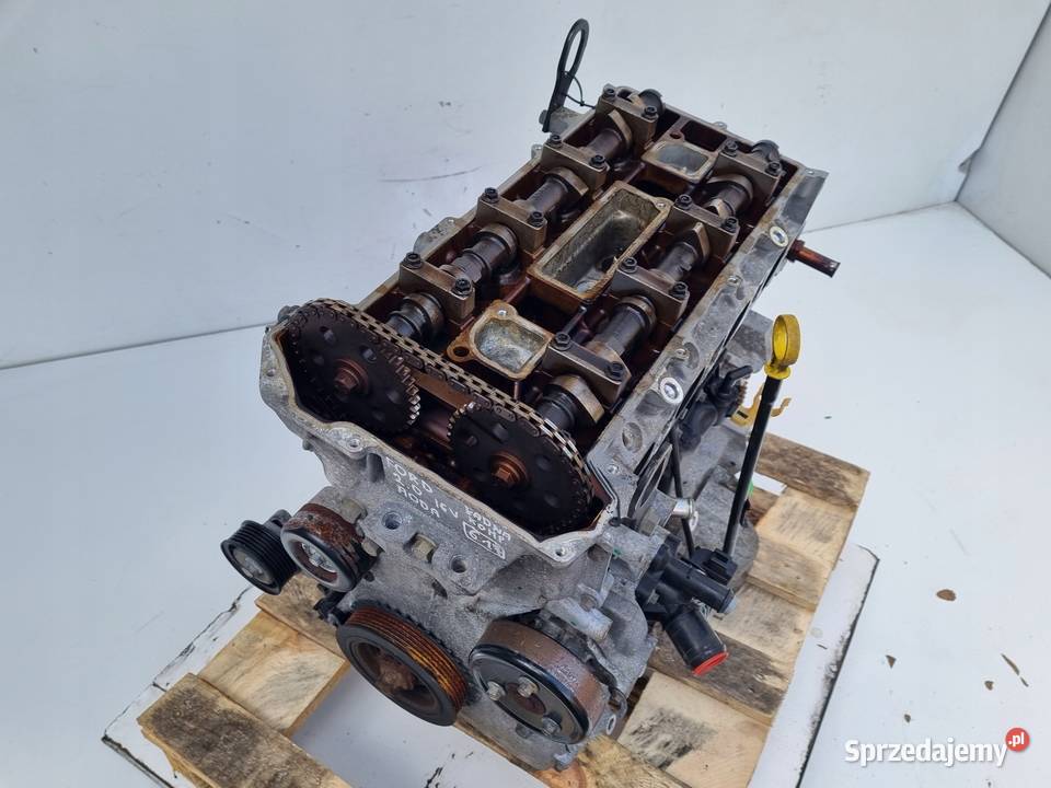 SILNIK BEZ OSPRZĘTU Ford Focus II MK2 20 16V 145 Rudka