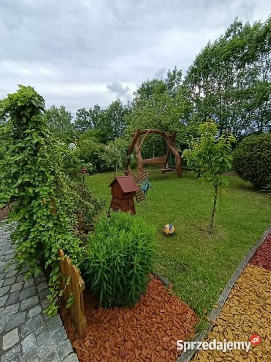 Sprzedam ogródek działkowy Zabrze ROD Kaprys