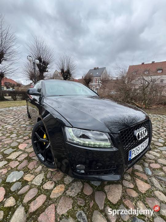 Audi A5 8T coupe 30 TDi quattro 2009r 2998cm3 wielkopolskie Ostrów Wielkopolski
