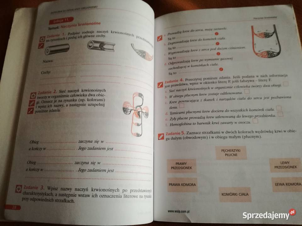 Ciekawa biologia zeszyt ćwiczeń część 2 łódzkie Łódź