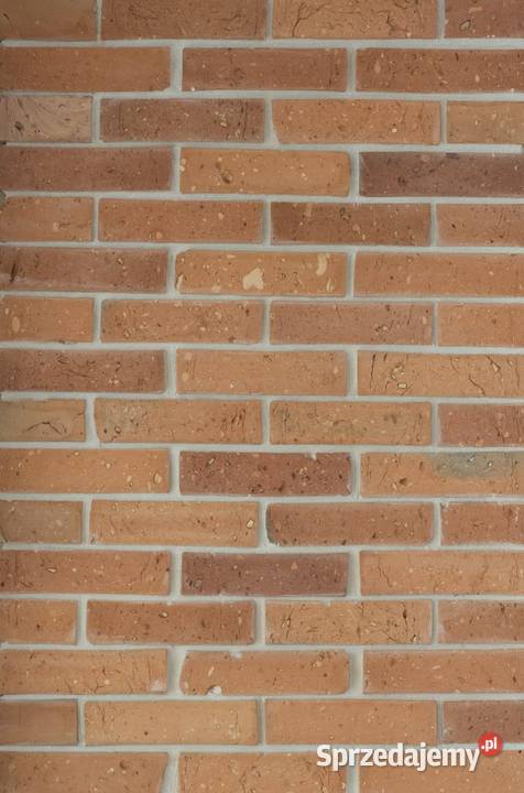 Płytki z cegły Loft Style Warszawa