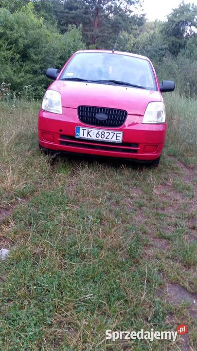 Kia PICANTO świętokrzyskie Chęciny