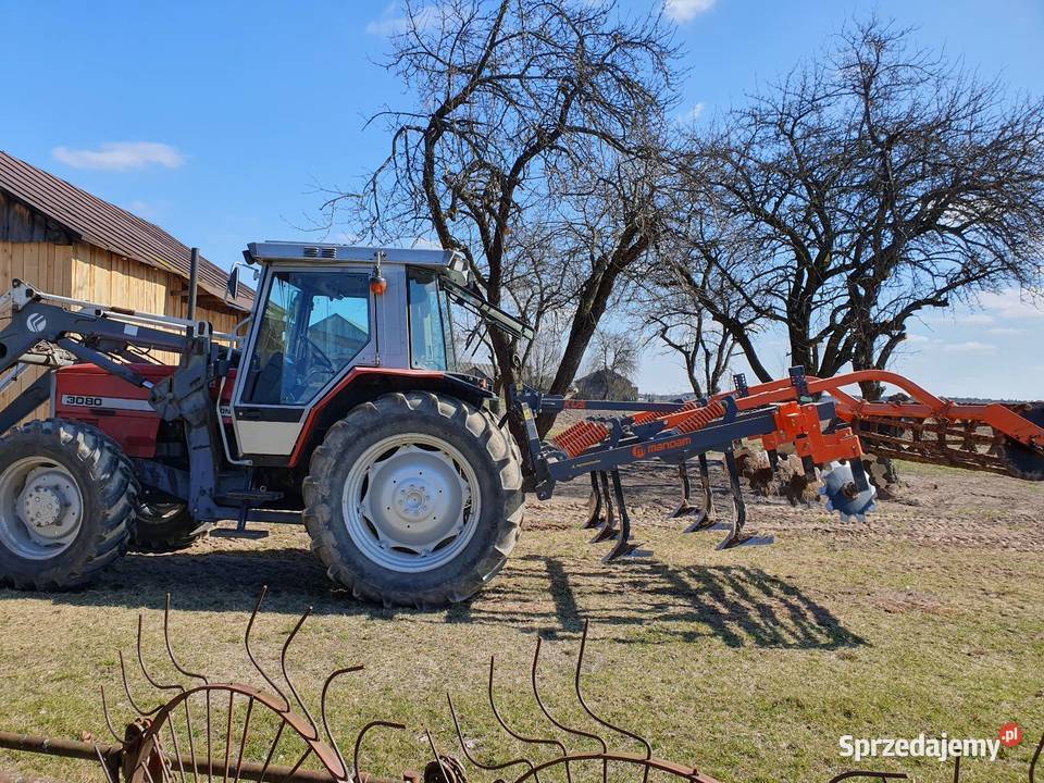 Massey ferguson 3080 Massey Ferguson Rokitno