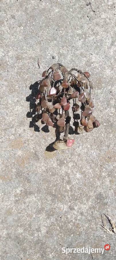 Dtzewko szczęścia Liban