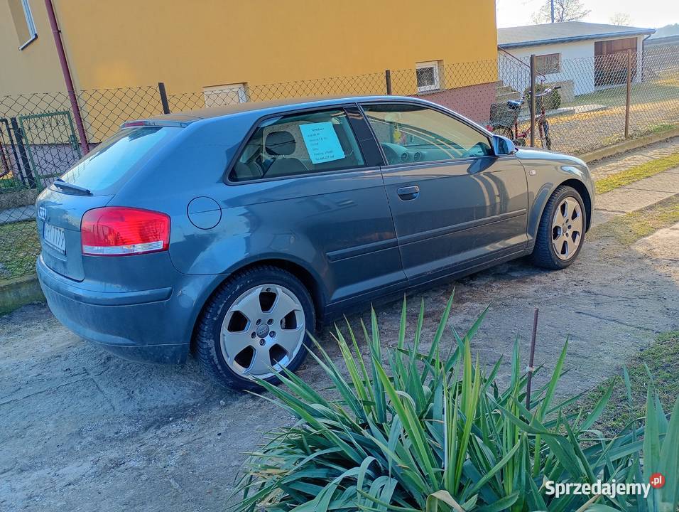 Audi A3 8P Stara Rokitnia