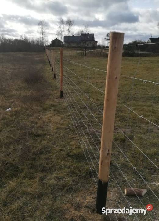 Ogrodzenia Panelowe siatkowe leśne betonowe itd Remont i budowa Tomaszów Lubelski