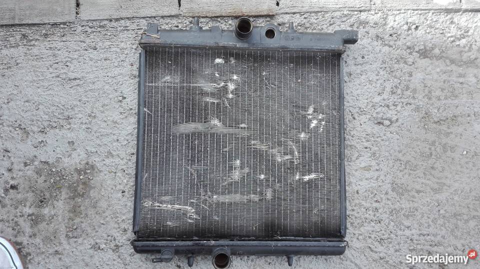 Peugeot 206 99r 14i Chlodnica wody