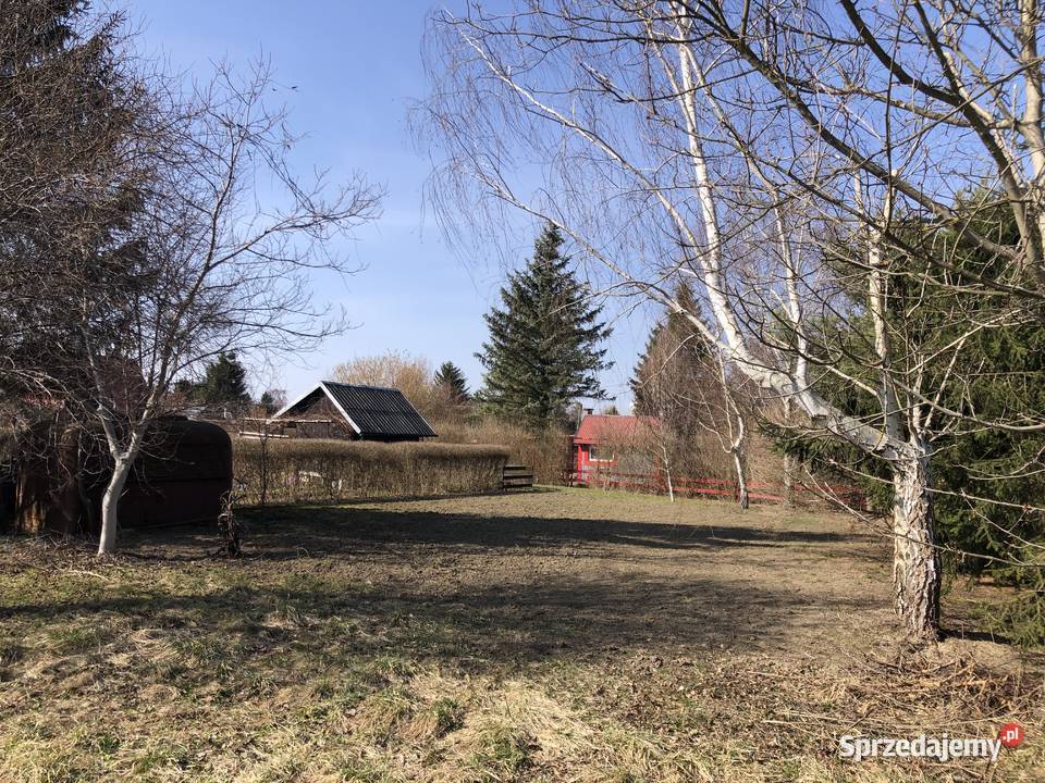 Działka ROD Zalesie