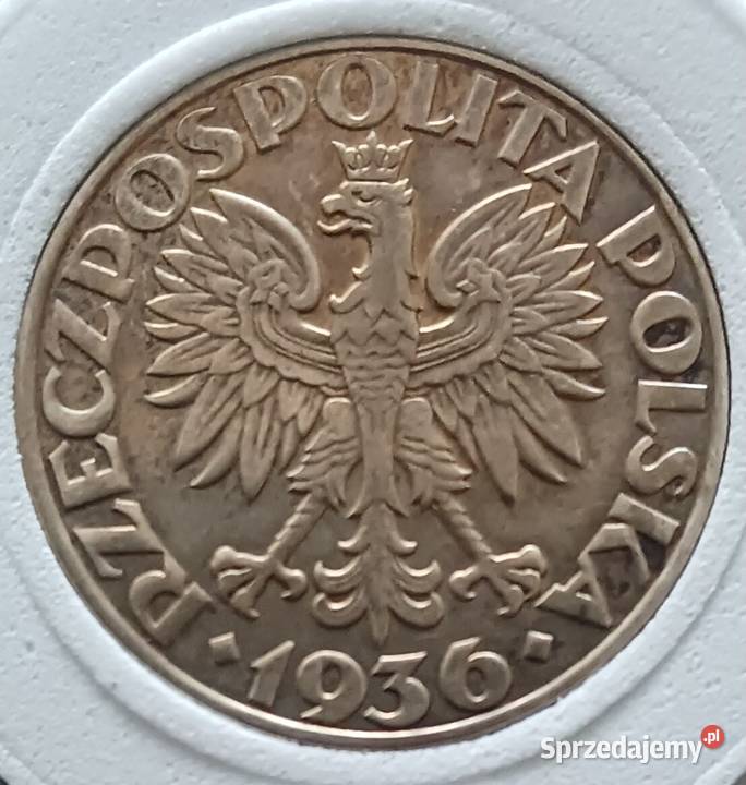 5 Żaglowiec 1936 r Cudo oryginał Konin sprzedam