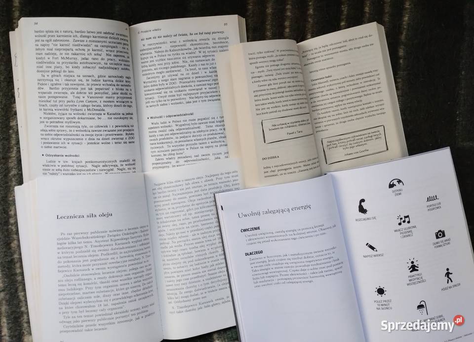 Praca z cieniem Tadeusz Niwiński Pragnę zmiany Poradniki, albumy i reportaże Bełchatów