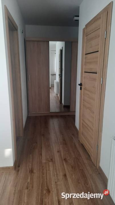 Do wynajęcia mieszkanie 2 pokojowe piwnica Dębica sprzedam