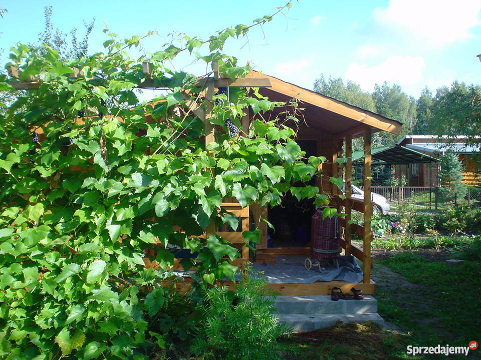 Działka rekreacyjna ROD Grochowa koło Piaseczna Nieruchomości