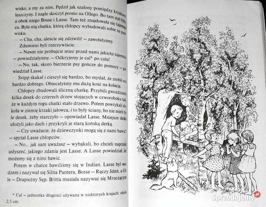 Dzieci z Bullerbyn Astrid Lindgren Chełm sprzedam