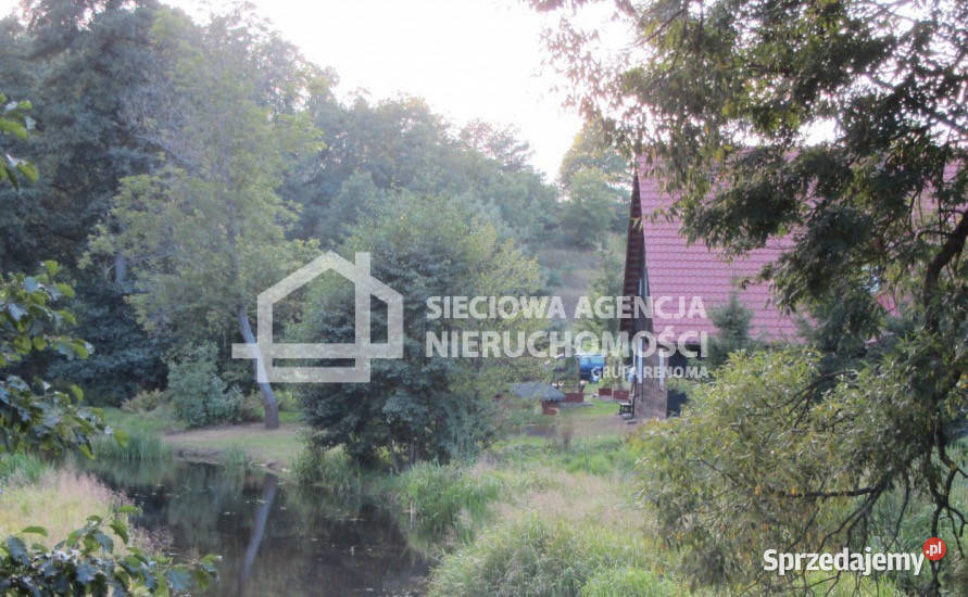 Dom wolnostojący Tleń 350m2 350m2 kujawsko-pomorskie sprzedam
