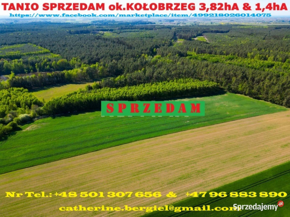 TANIO Działka inwestycyjnabudowlana Na sprzedaż Charzyno