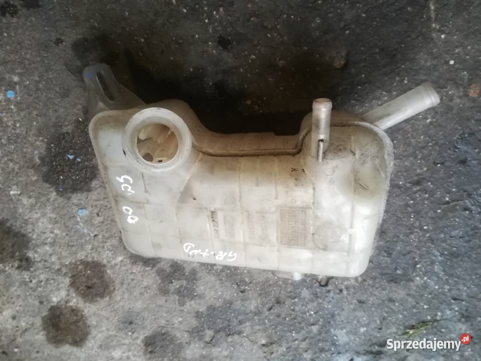 Zbiornik wyrównawczy Renault Grand scenic Pozostałe Mieleszyn