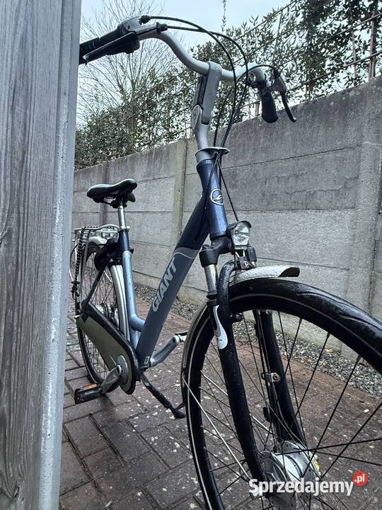 Giant 28 Nexus 7 Amortyzator Aluminium Rower Turek