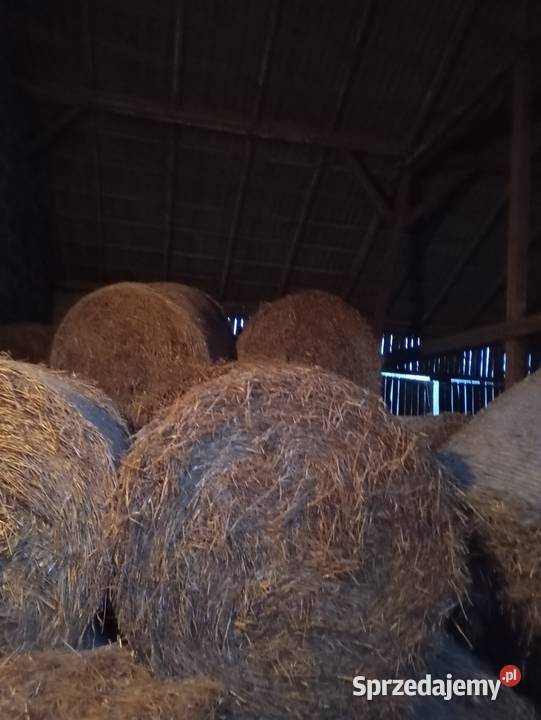 Sprzedam słomę Skrzydłowo
