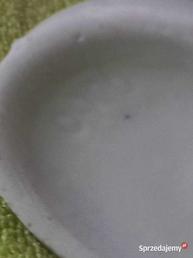 Figurka porcelanowa Koń Lippensdorf Porcelana i szkło kujawsko-pomorskie Toruń