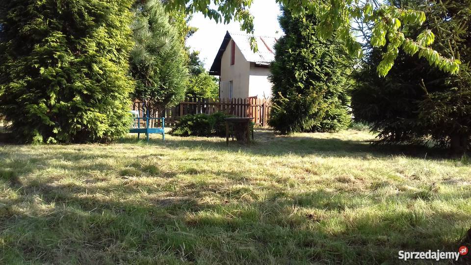 Sprzedam ogródek działkowy siatka Płock