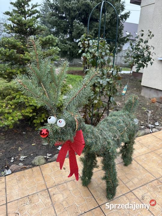 Renifer ze swierkuSTROIKI wielkopolskie sprzedam