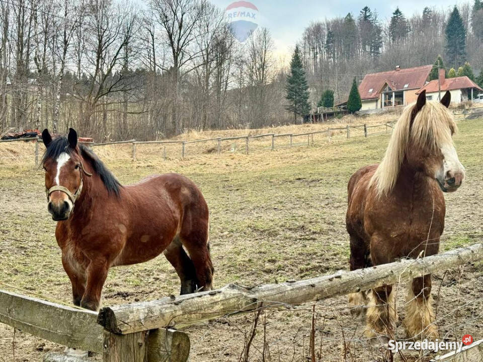 Widokowa działka budowlana w Wiśle 7 arów asfalt Wisła
