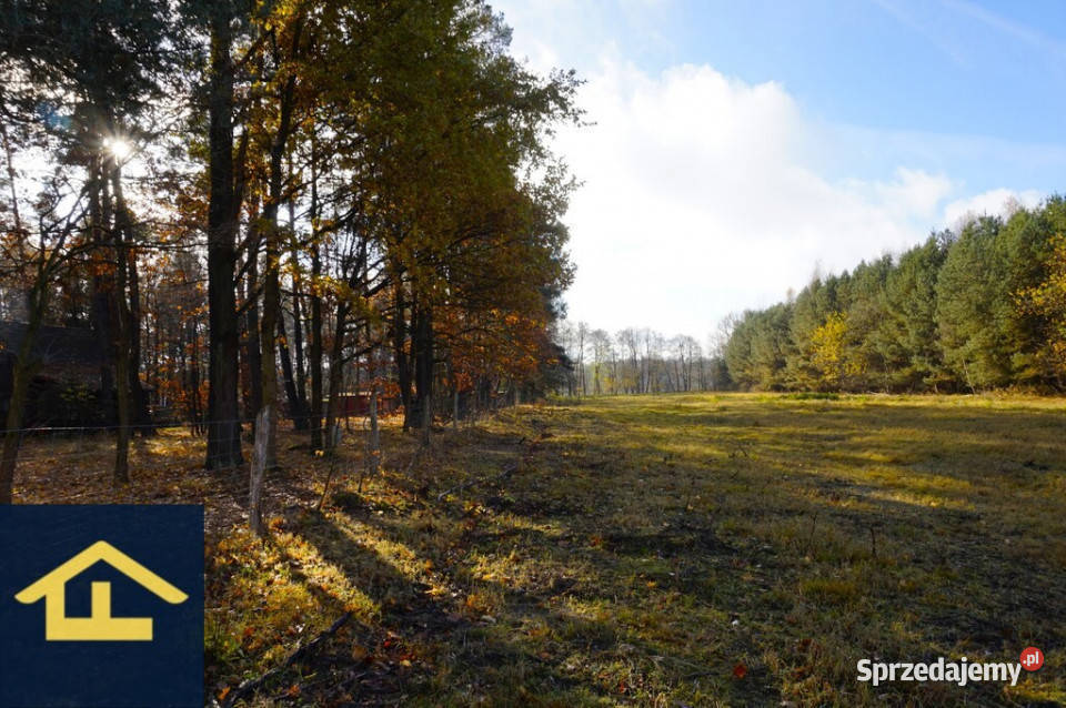 Działka z linią brzegową jeziora