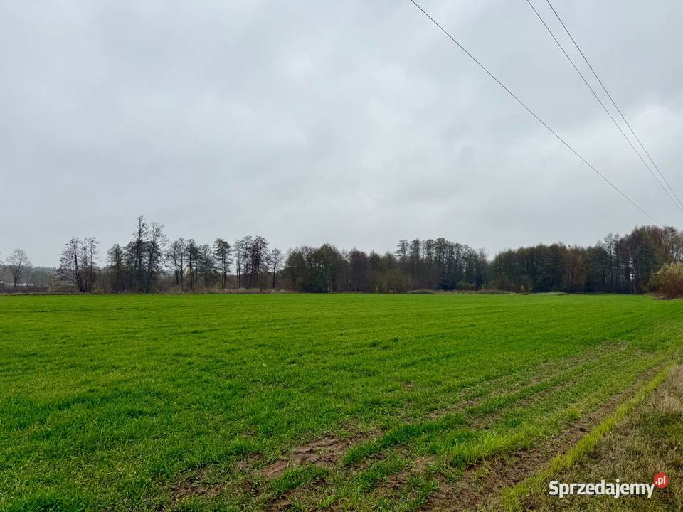 Wacławów gm Lądek działka inwestycyjna