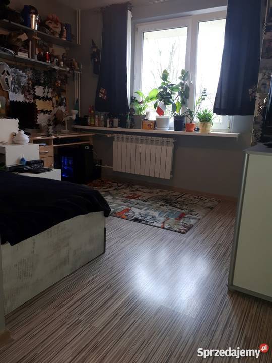 mieszkanie 4 pok Gliwice Waryńskiego 1p nowa Mieszkania
