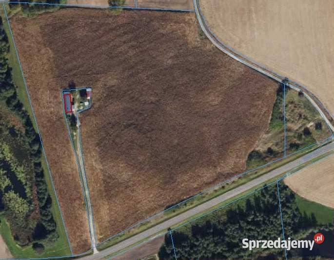 Sprzedam grunty rolne 52000m2 Nieruchomości Łąki Markowe