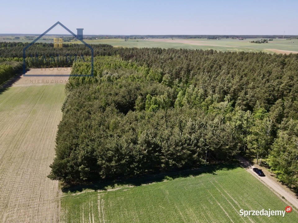 Duża działka budowlana w lesie Drwęcy sprzedam