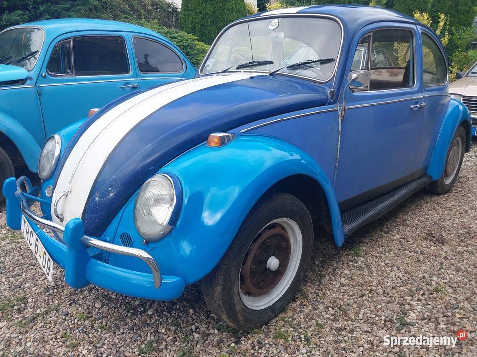 Garbus dziadek 1966 Lwówek Śląski