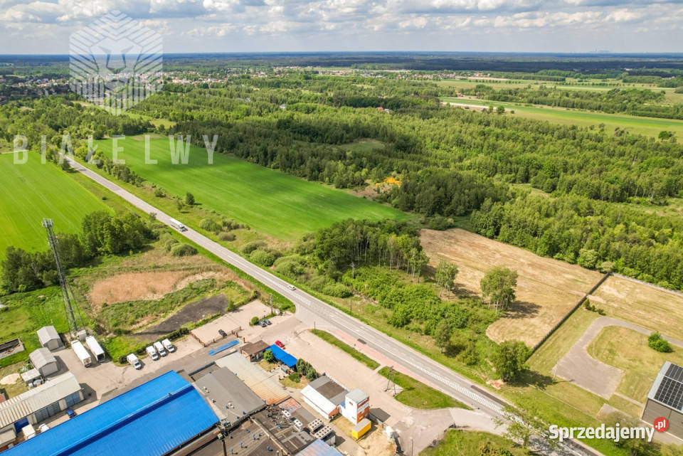 Działka Stanisławów Północna 18678m2 Sprzedaż sprzedam