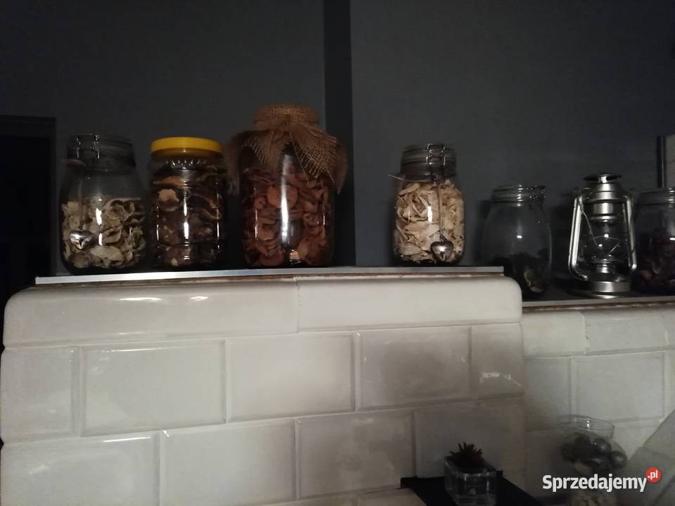 Grzyby suszone prawdziwki podgrzybki lejkowiec Leśne Chałupy