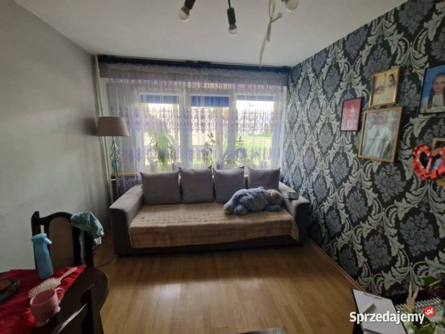 Syndyk sprzeda udział 12 w nieruchomości