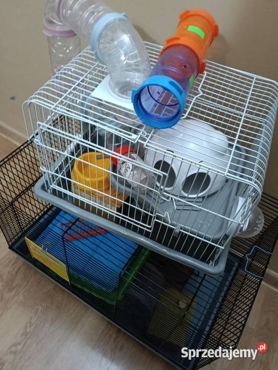 Klatki 3 sztuki gryzoni Koszalin sprzedam