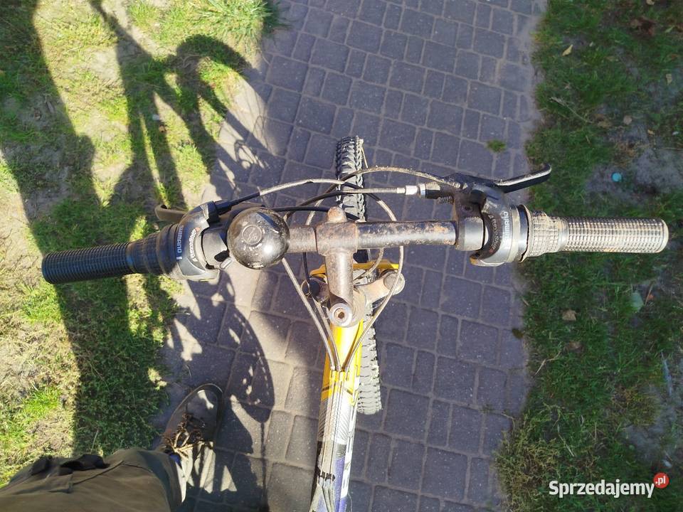 Rower mtb Chojno-Błota Wielkie