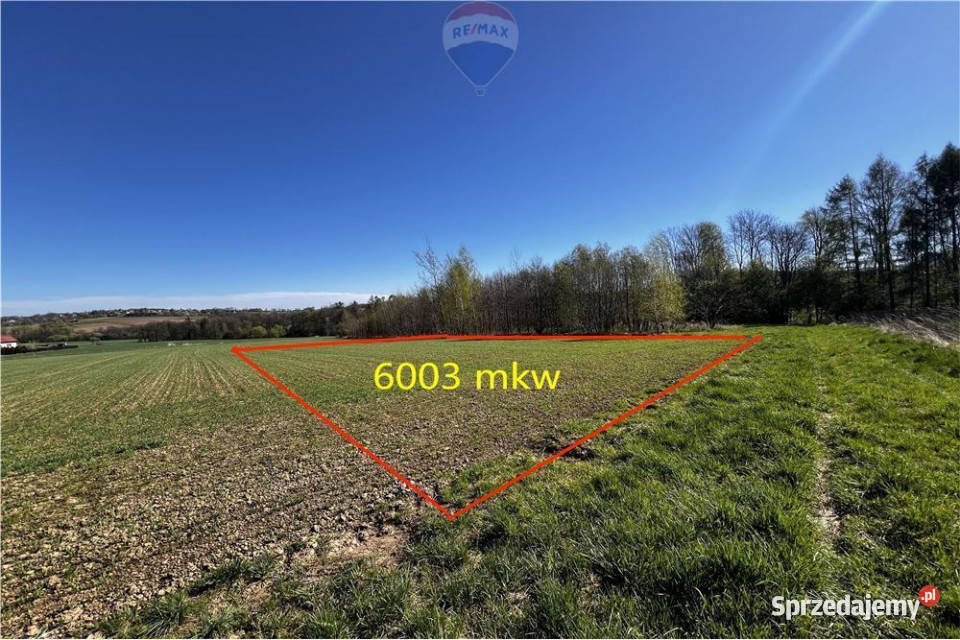 BLACK WEEKS Działka rolna w Pogórzu z Sprzedaż