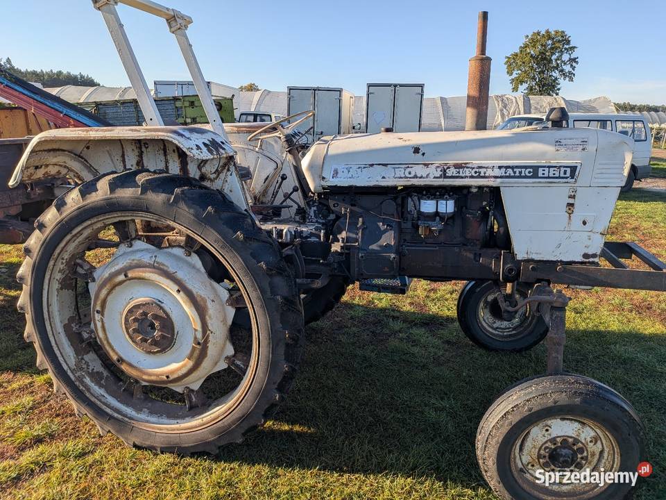 David Brown 880 lubuskie Goszczanowiec sprzedam