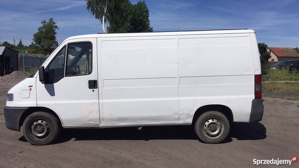 Transport Przeprowadzki Najtaniej Pruszcz Gdański