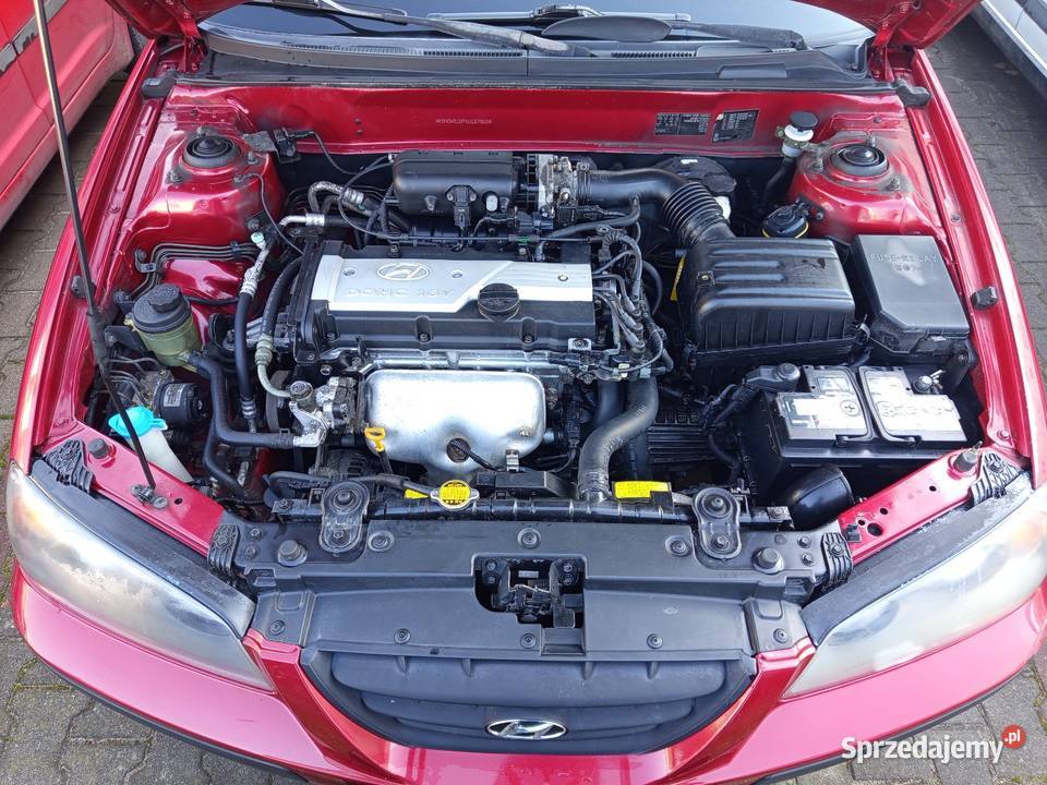 Hyundai Elantra Marki