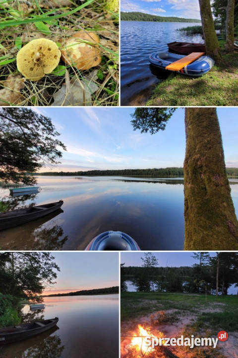 Działka Jeziorem Czarnym Pluszkiejmy Mazury 3251m2 Sprzedaż