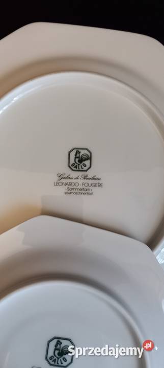 Talerz Villeroy Boch Gallo Leonardo Fougere lubelskie Chełm sprzedam