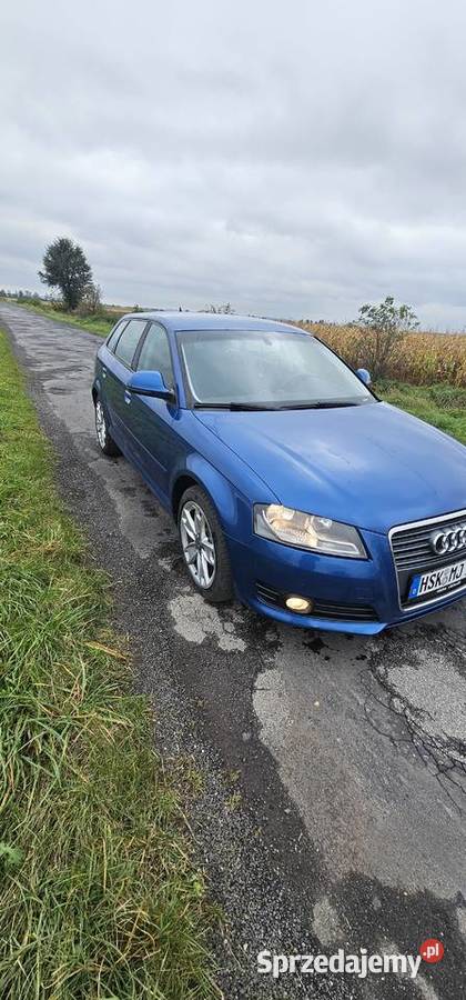 Audi A3 8p 20 TDI Strzelin